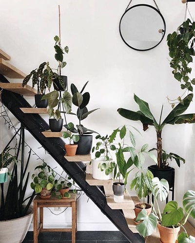 Décorer l'escalier avec des plantes Meubles Bouchiquet Bergues