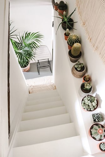 Décorer l'escalier avec des plantes Meubles Bouchiquet