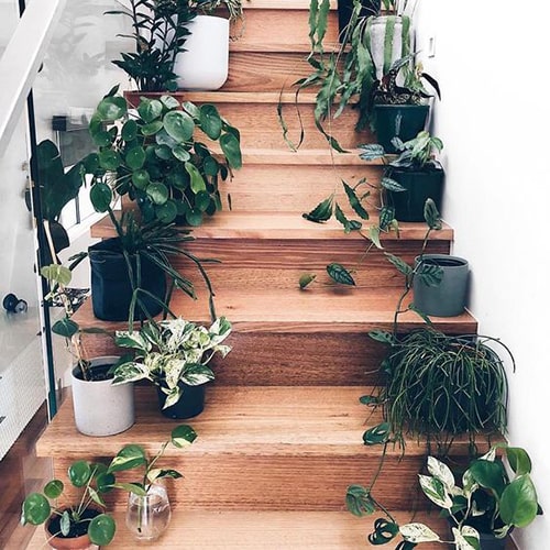 Décorer l'escalier avec plantes Meubles Bouchiquet