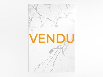 Miroir antique cadre doré rectangulaire promo Meubles Bouchiquet - Vendu