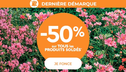 Soldes été Meubles Bouchiquet - Dernière démarque -50% sur tous les produits soldés